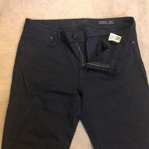 Coco Curvy by DL1961